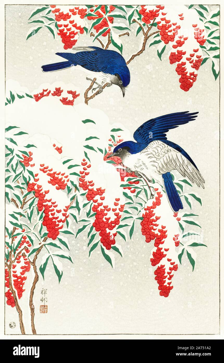 illustration-of-a-bird-vintage-design-stock-photo-alamy