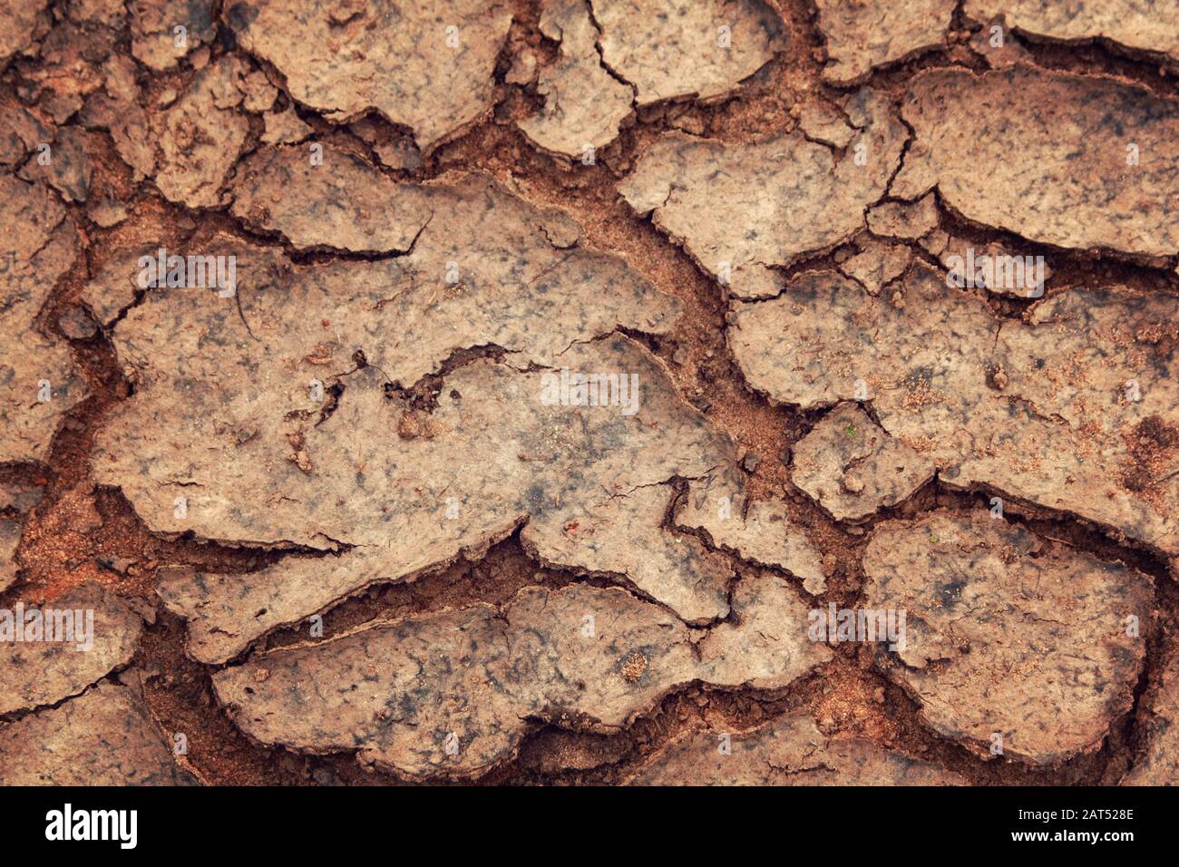 Cracks in the dried soil. Erosion. Global warming. Soil texture. Aged photo. Dry ground as a texture. Close Up of dry soil. Stock Photo