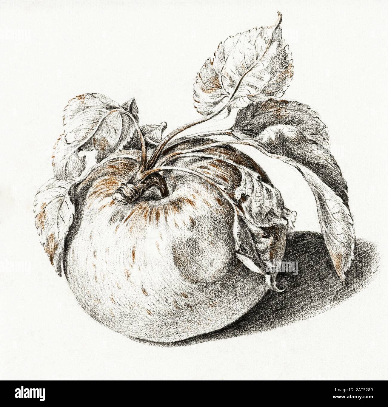 vintage illustration art Stock Photo - Alamy