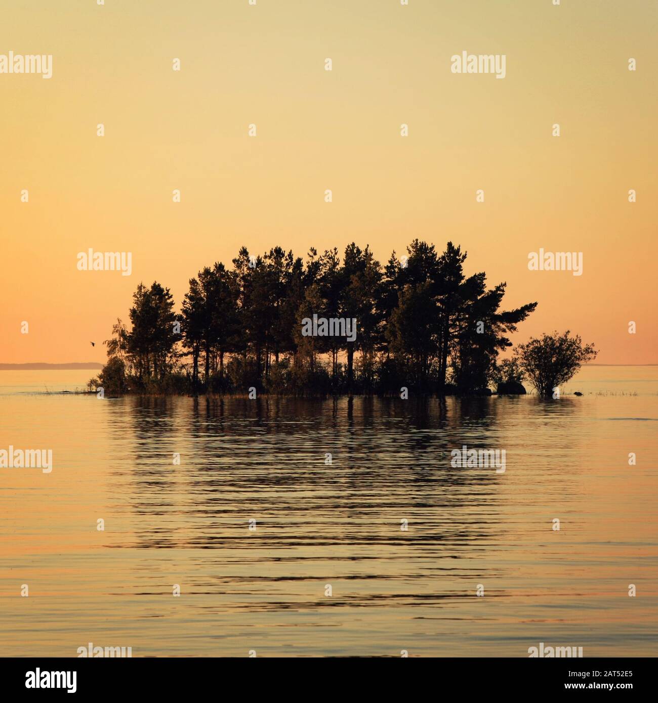 Small island in the Ladoga lake. Sunset on Valaam. Colorful summer evening. Wild nature of Russian North. Lake and pine trees. Republic of Karelia, Ru Stock Photo