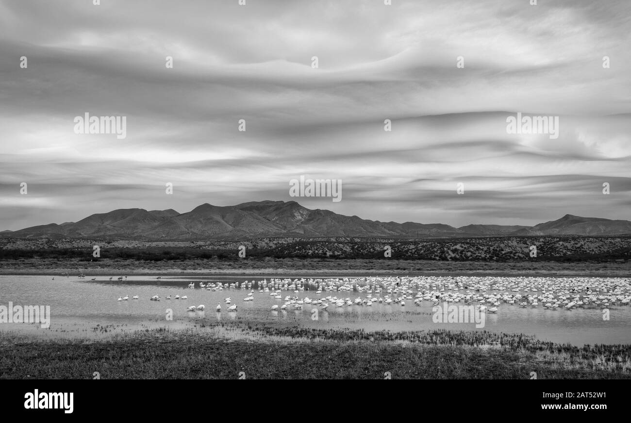 Lenticular clouds over the Chupadera Mountains at Bosque del Apache in New Mexico. Stock Photo