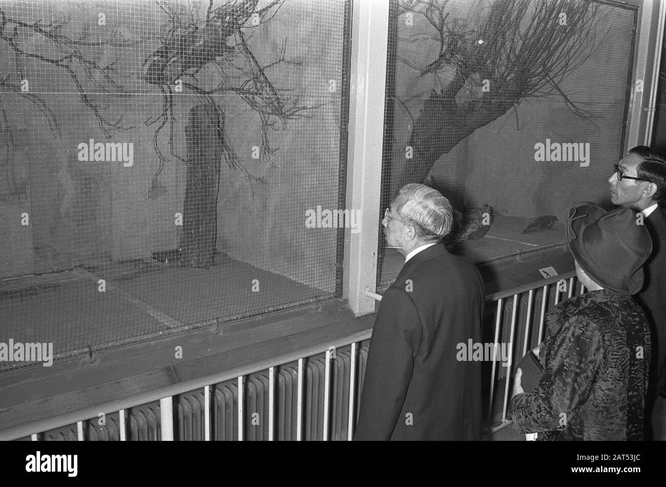 Emperor Hirohito and wife visits Artis Amsterdam Date: 9 October 1971 Location: Amsterdam, Noord-Holland Keywords: EMERINS, visits, zoos, emperors Personal name: Hirohito, emperor of Japan Stock Photo