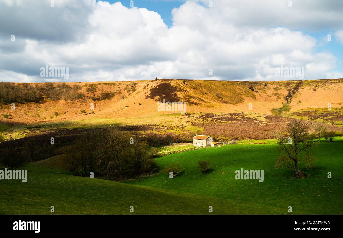 Derelict farmhouse n Hole of Horcum surrounded by the North York Moors, pasture, and rolling landscape in spring near Goathland, Yorkshire, UK. Stock Photo