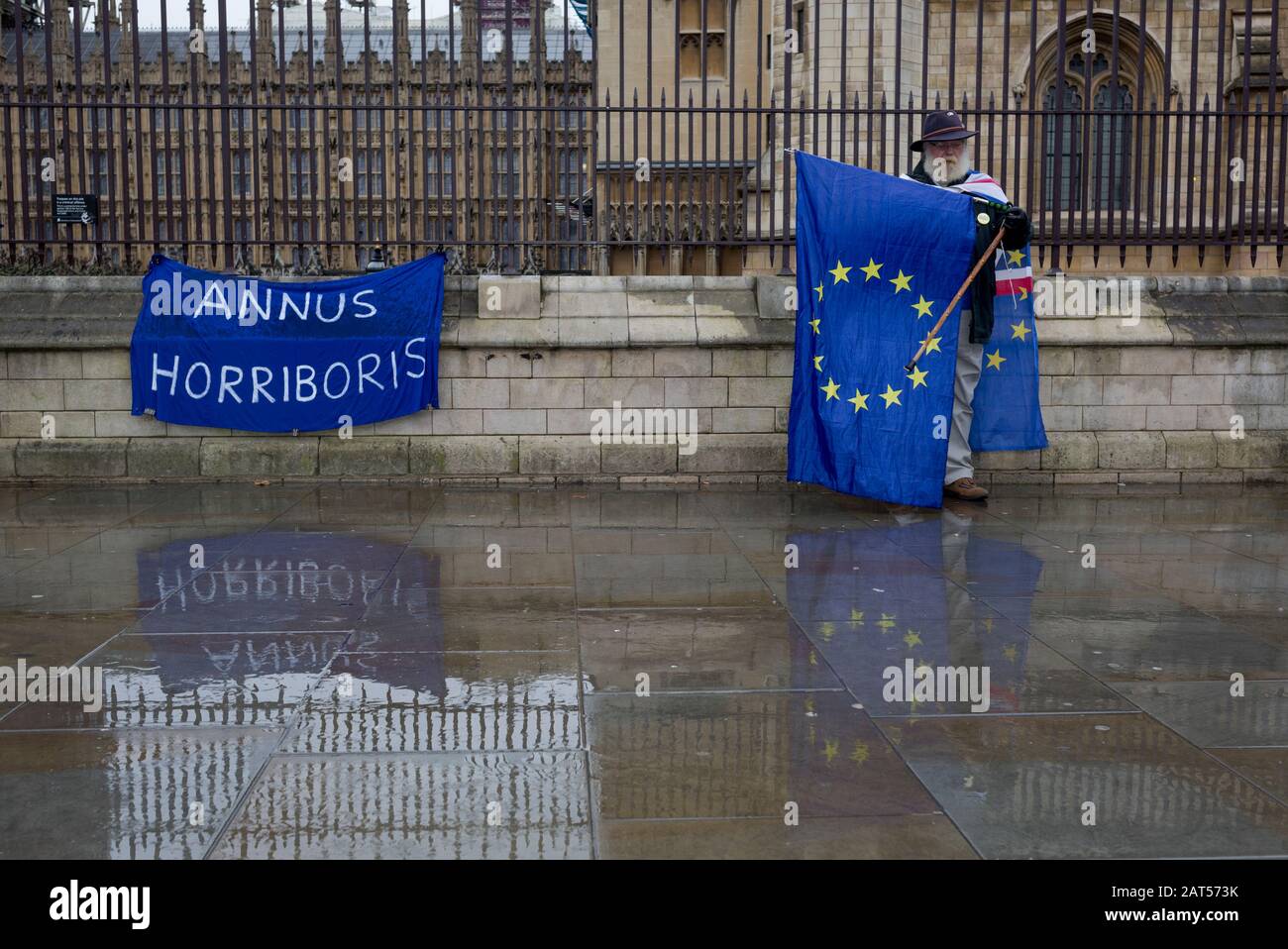 One day before Brexit Day (the date of 31st January 2020, when the UK legally exits the European Union), a pro-EU Remainer stands outside parliament alongside a Latin pun referring to Prime Minister Boris Johnson and the Queen's 'annus horribilis' (her 1992, a year of disaster fire at Windsor Castle and royal scandal). Remainers chose to celebrate the UK's membership with the EU for one last time for 'A party like there's no tomorrow' outside parliament, in Parliament Square, Westminster, on 30th January 2020, in London, England. Stock Photo