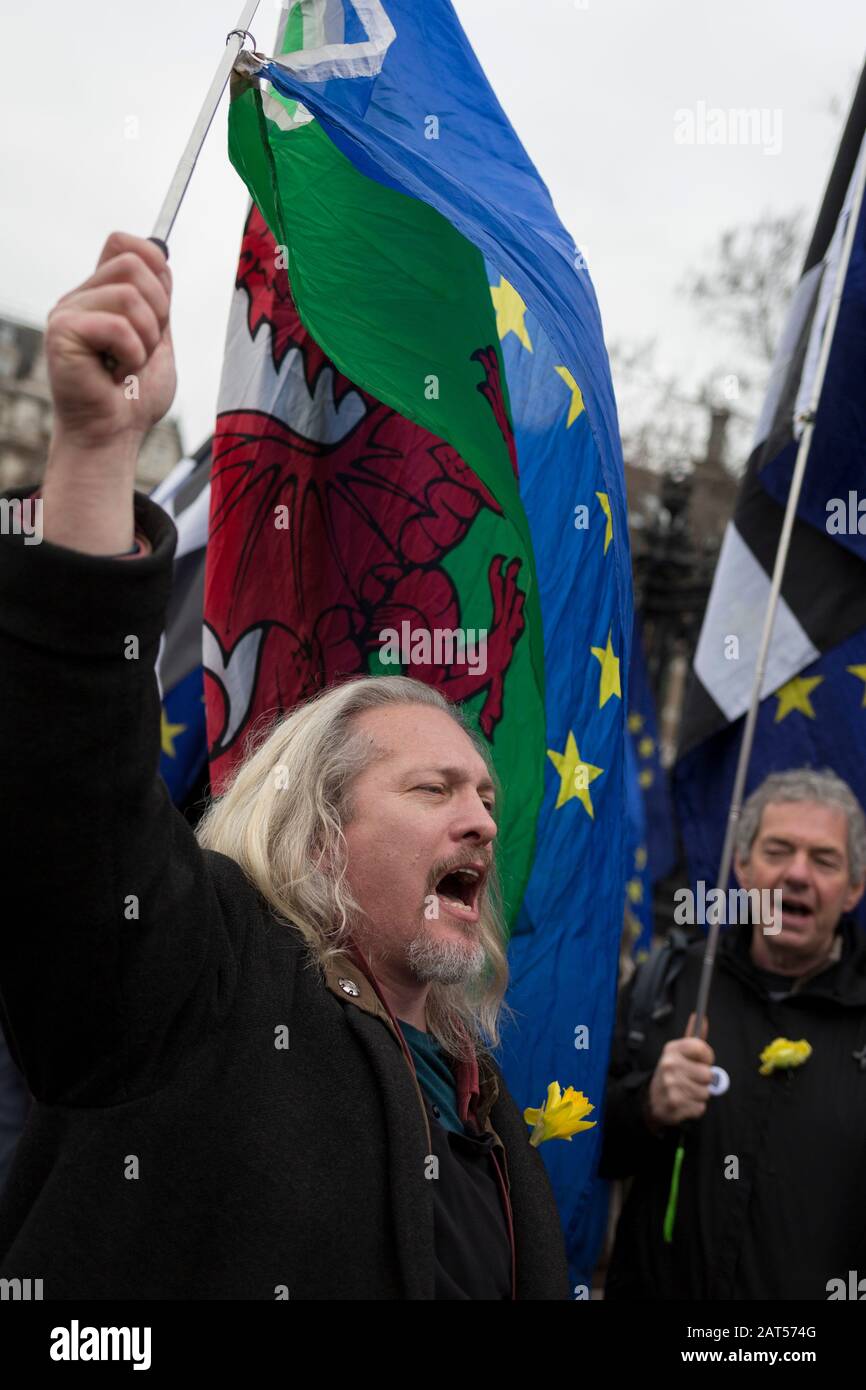 Pro-EU Remainers celebrate EU membership by singing Ode To Joy during their 'party like there's no tomorrow' for one last time outside parliament, one day before Brexit Day (the date of 31st January 2020, when the UK legally exits the European Union), in Parliament Square, Westminster, on 30th January 2020, in London, England. Stock Photo