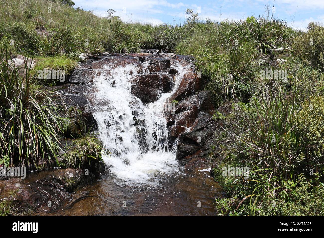 The small waterfalls formed in the fields. Untouched beauty. Stock Photo