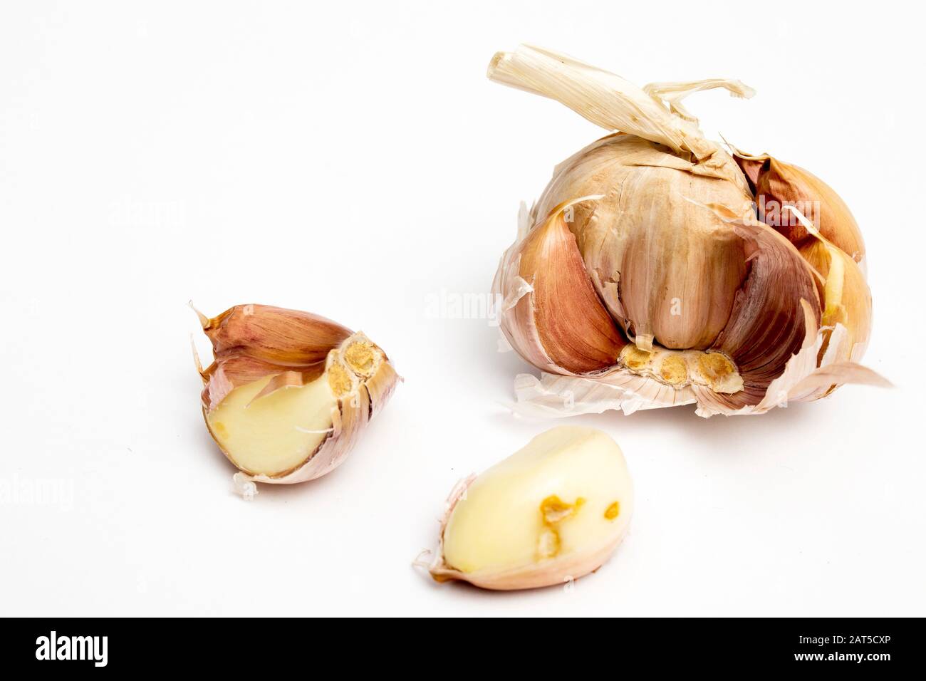 Rotten view Cut Out Stock Images & Pictures - Alamy