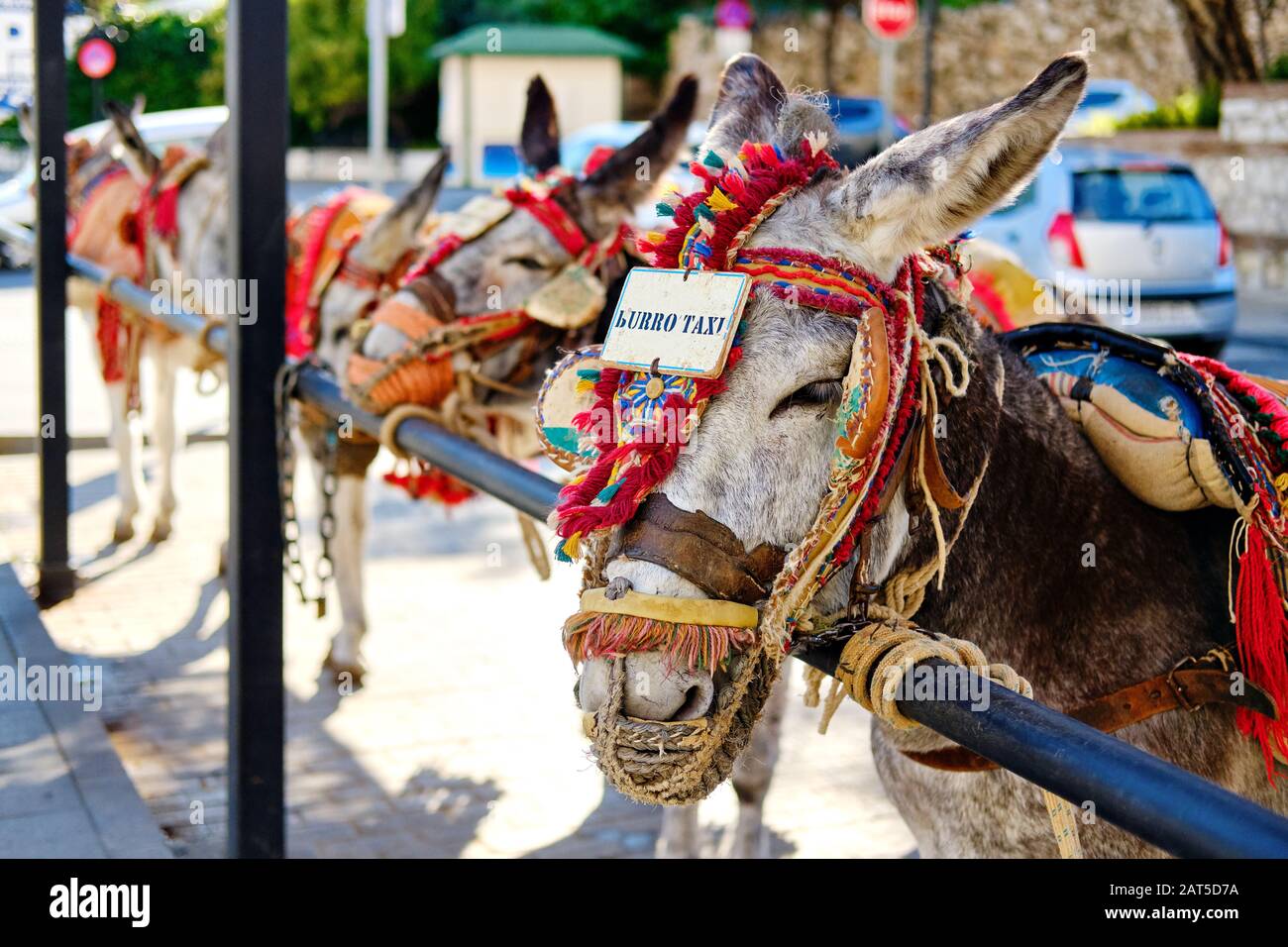 Donkey taxi landmark in Mijas village. Lot of donkey taxis waiting for tourists to come and ride them through the village. Costa del Sol, Spain Stock Photo