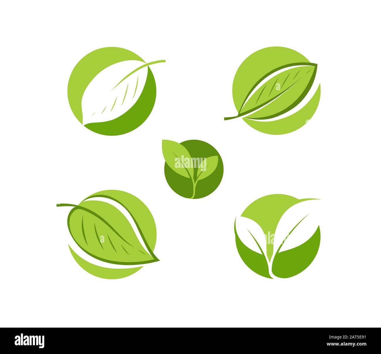 Natural product logo. Leaf symbol or label vector illustration Stock Vector