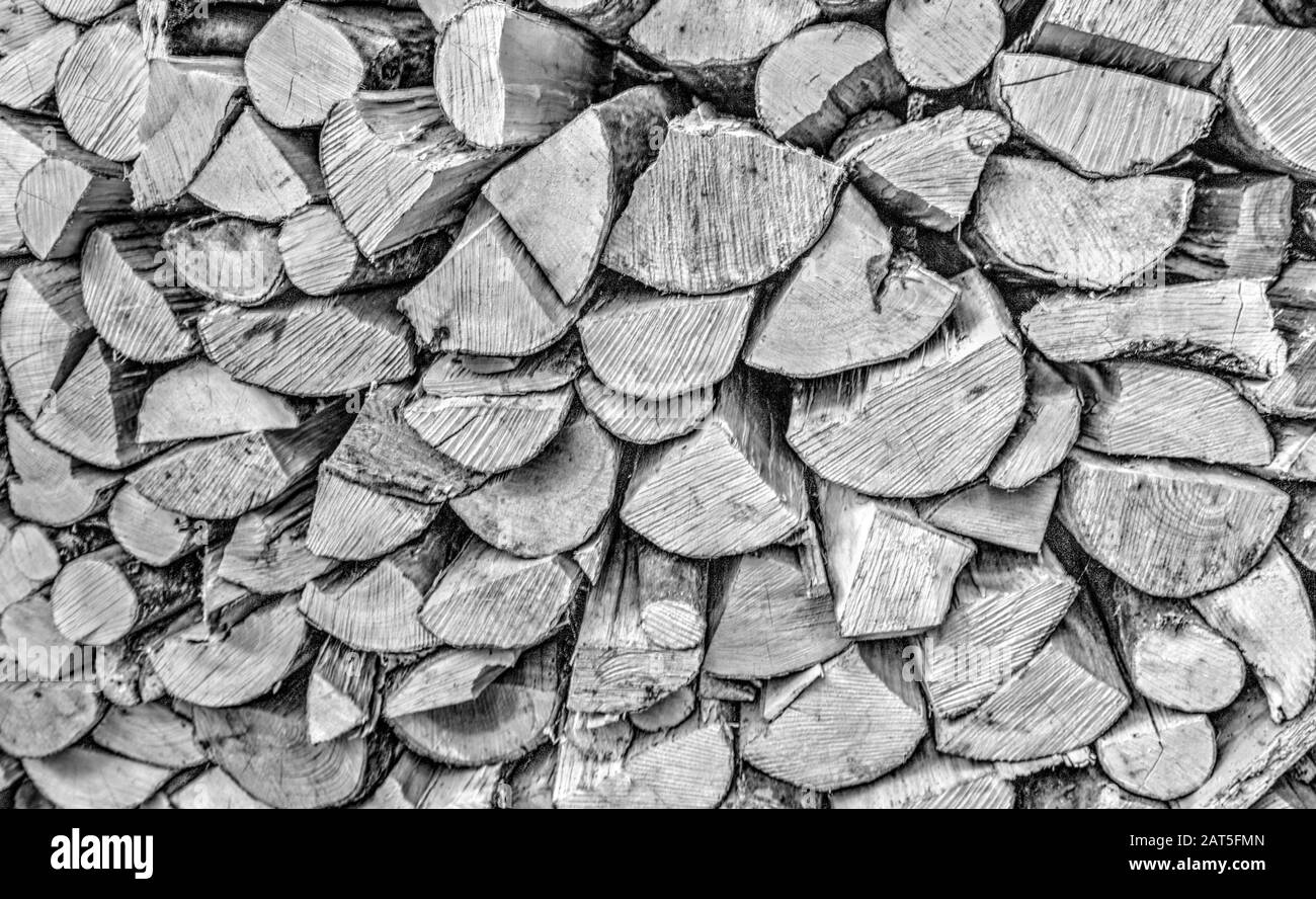 Background of fresh cut timber in black and white Stock Photo