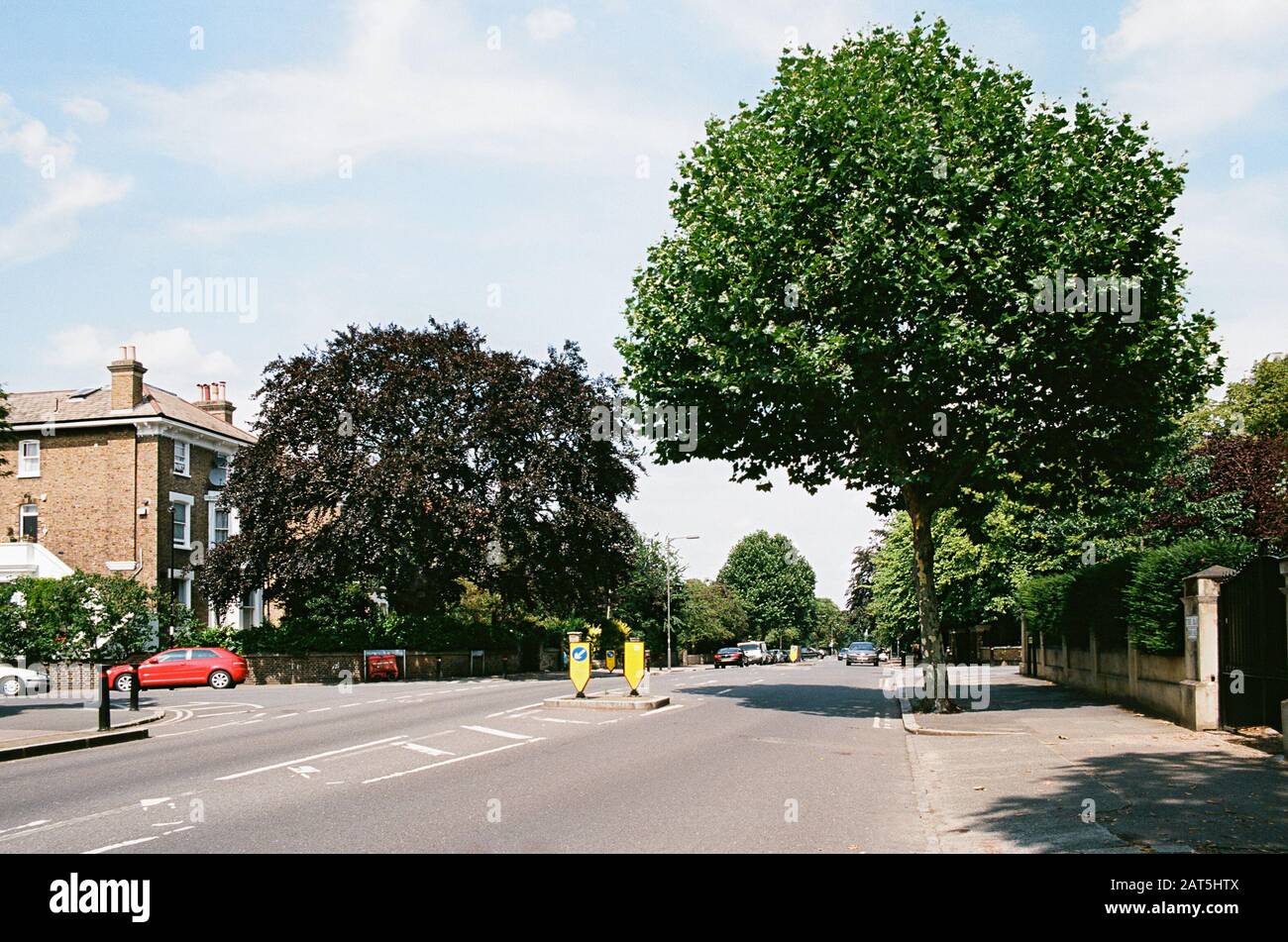 Trees and houses in Wickham Road in Brockley, South East London, UK