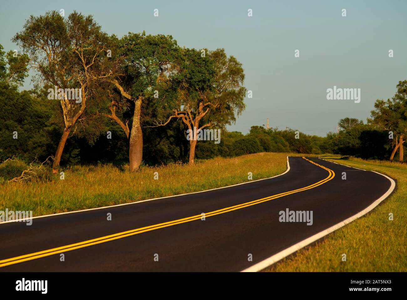 Ruta 86 on the Formosa region, Argentina Stock Photo Alamy