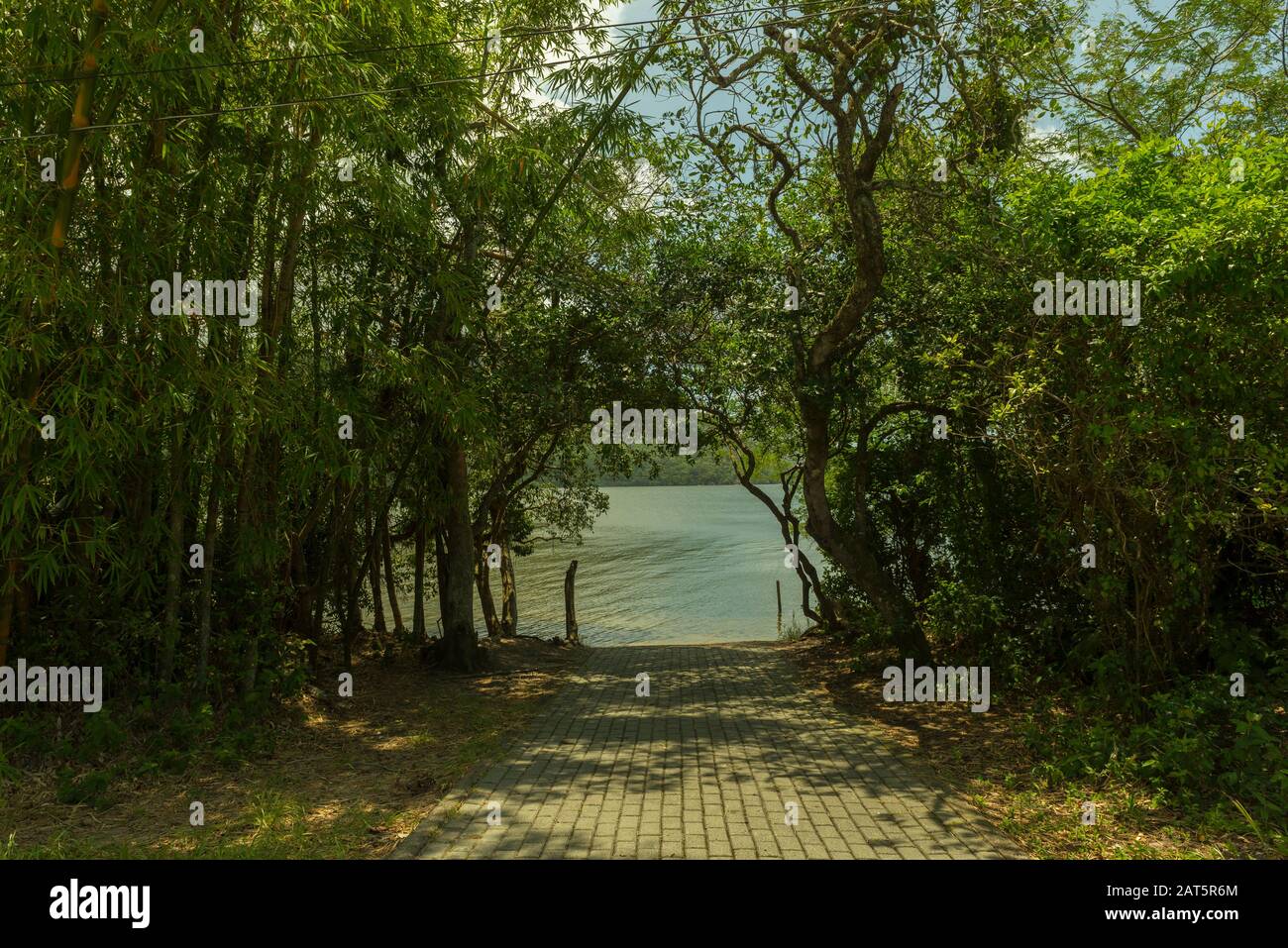 way under the trees to the shore of a beautiful lagoon. Scenery of exuberant conserved nature. View of a calm pond in southern Brazil. Stock Photo