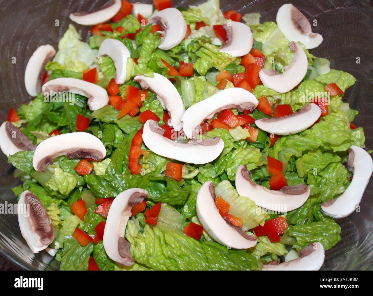 Fresh garden salad with romaine lettuce, sliced white mushrooms and diced red peppers Stock Photo