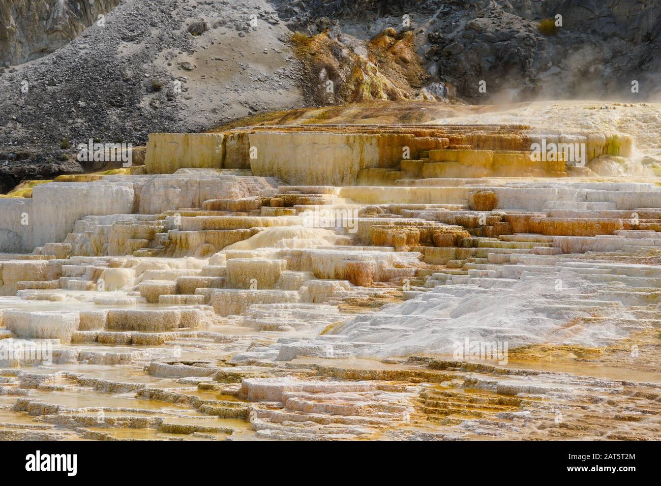 Thermal water s coming from the mountain side and running down the colorful terraces in Mammoth Hot Springs. Stock Photo