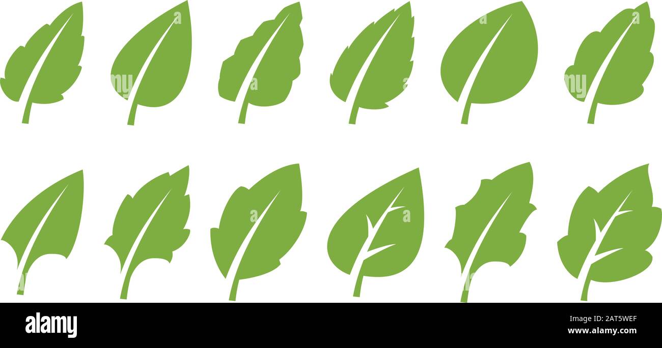 Green leaf set Stock Vector Image & Art - Alamy