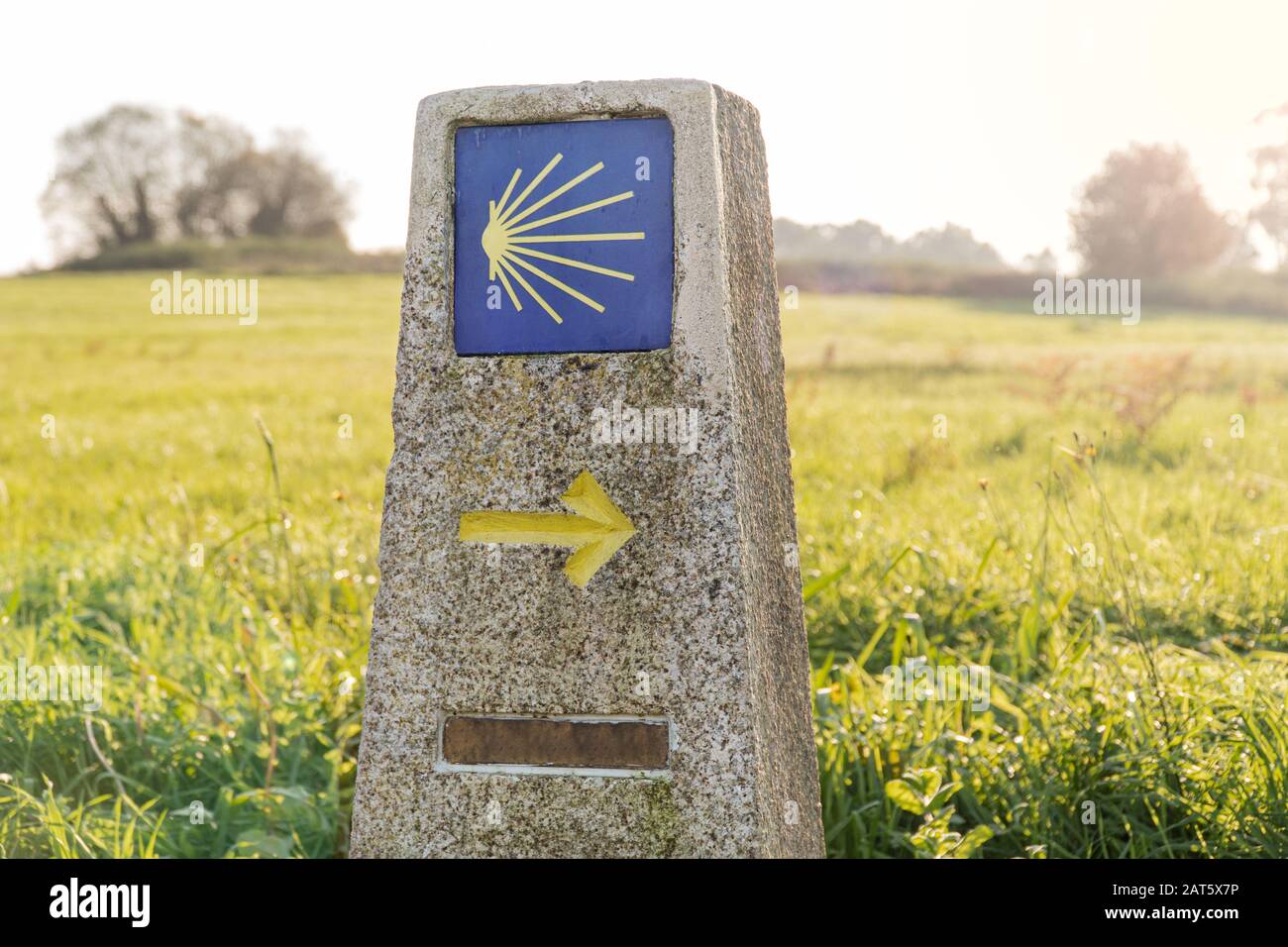 Camino de Santiago sign with green grass background. Pilgrimage sign to Santiago de Compostela Stock Photo