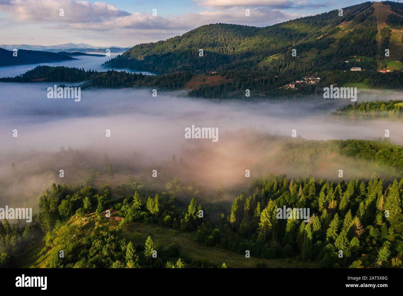 Aerial view of colorful mixed forest shrouded in morning fog on a ...