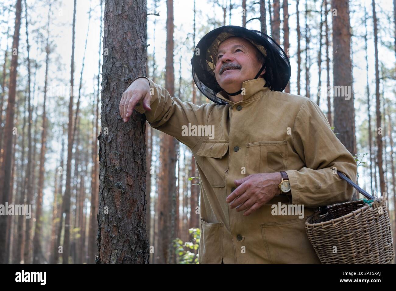 Old man walking standing near tree in forest resting enjoying the moment holding busket an hands. Senior mushroomer in summer forest Stock Photo