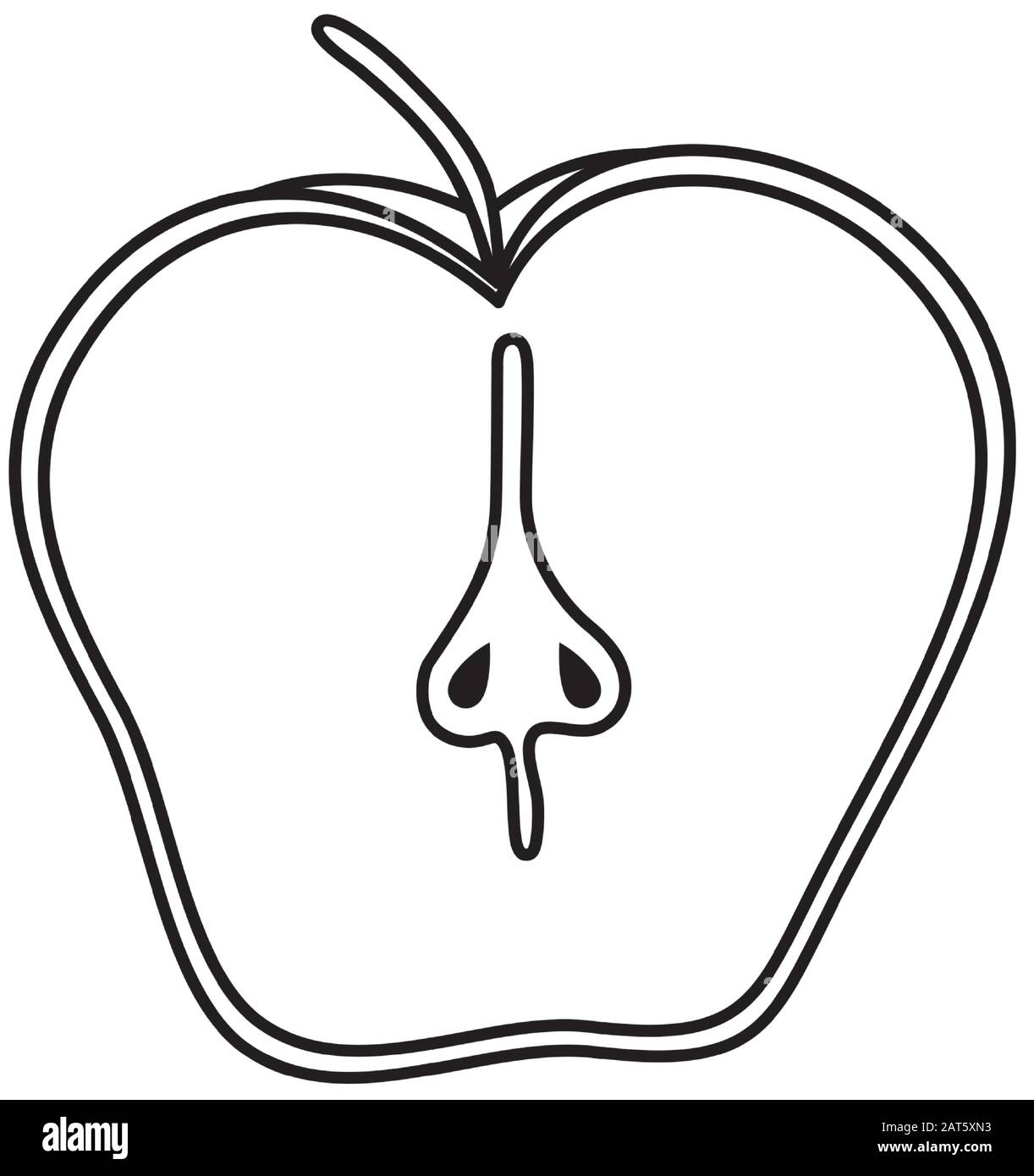 half apple fresh fruit isolated icon Stock Vector