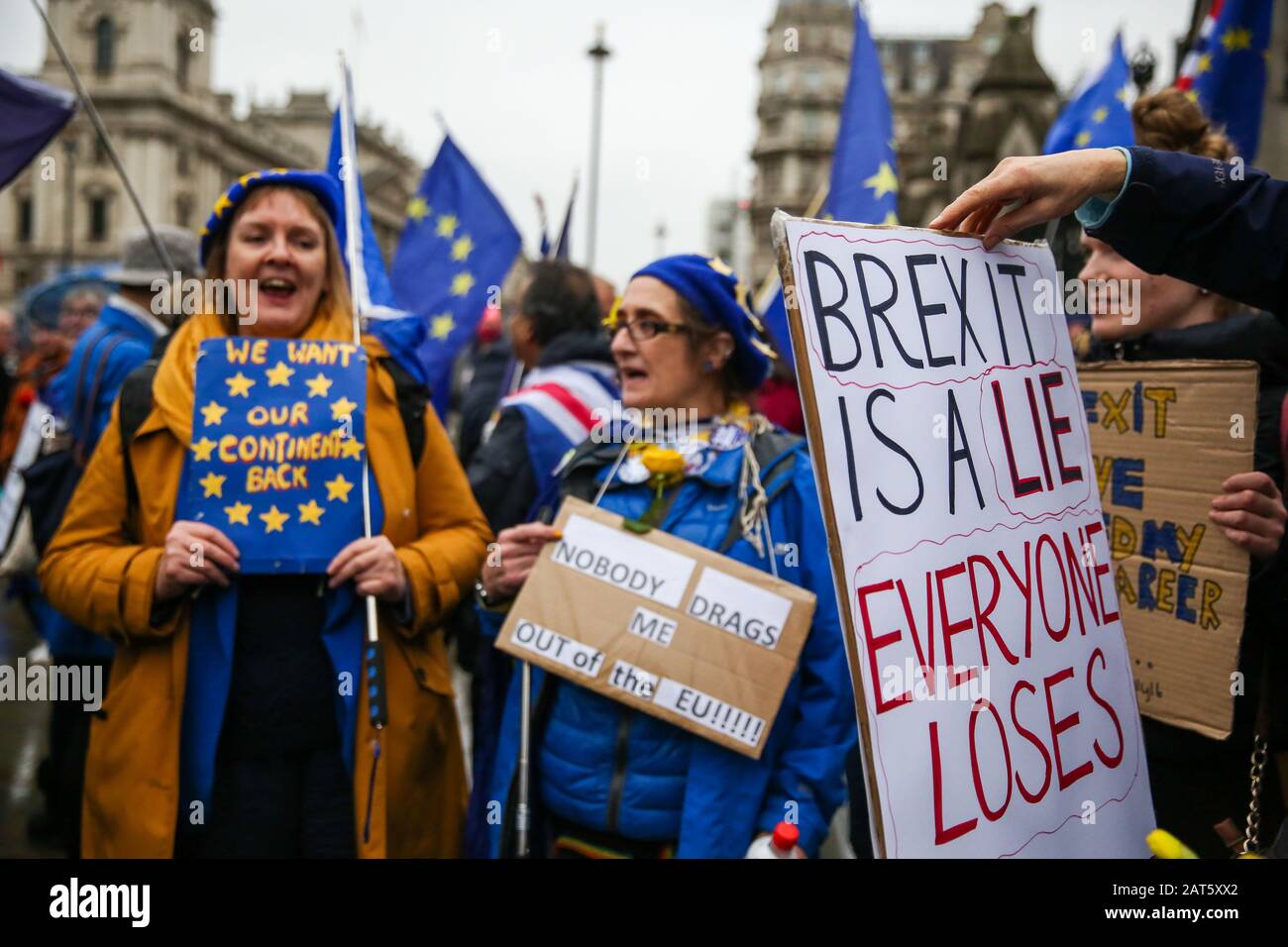 Pro-remain supporters holding placards protest outside Houses of Parliament on the eve of Brexit Day.Pro-remain supporters with EU flags protest outside Houses of Parliament on the eve of Brexit Day. Britain will officially leave the European Union at 11pm (GMT) on 31 January 2020 and will cease to be a state member. Under the terms of the Withdrawal Agreement, UK will enter a transitional period and will abide by EU rules despite not being a member. Stock Photo