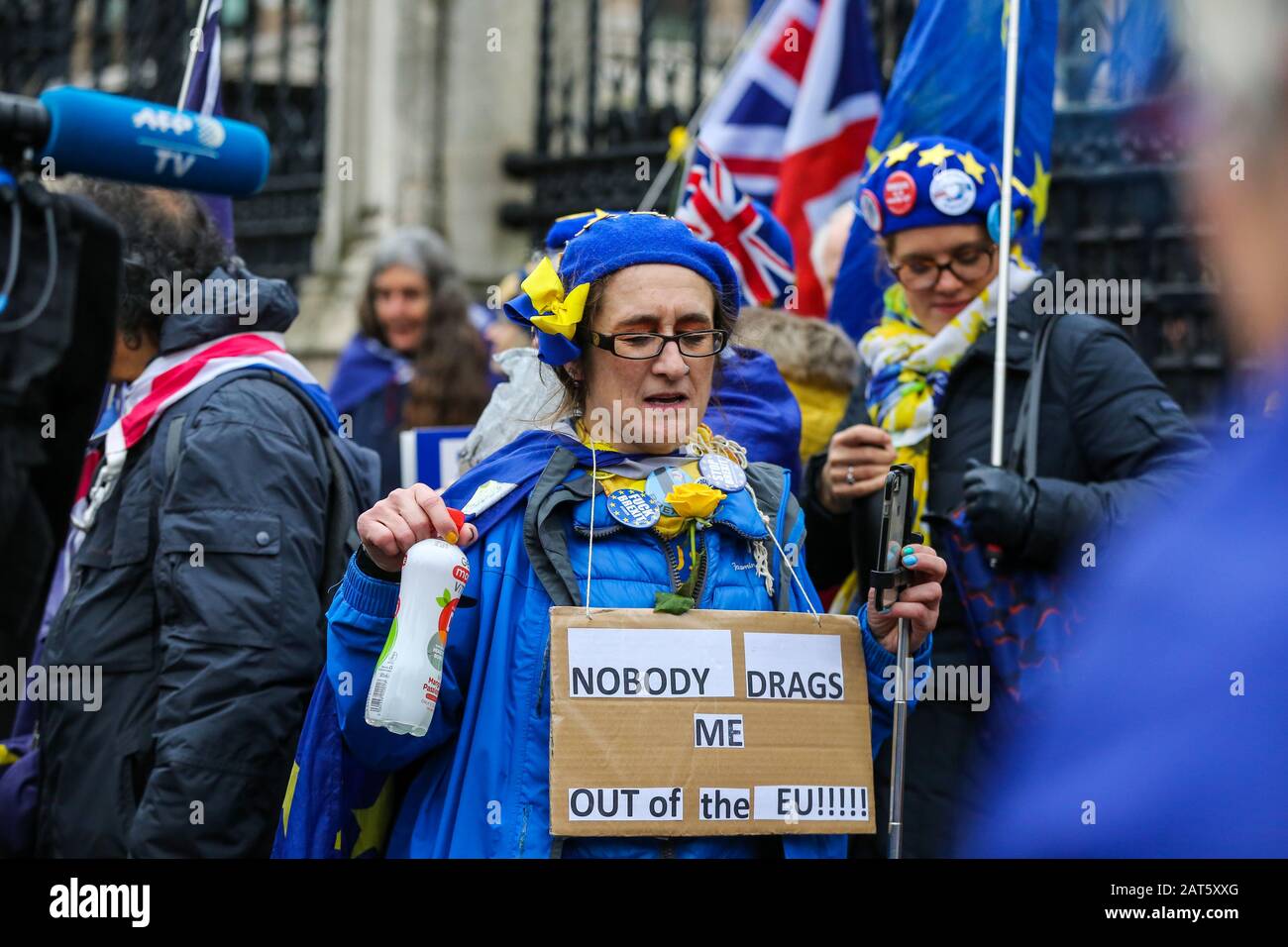Pro-remain supporters protest outside Houses of Parliament on the eve of Brexit Day.Pro-remain supporters with EU flags protest outside Houses of Parliament on the eve of Brexit Day. Britain will officially leave the European Union at 11pm (GMT) on 31 January 2020 and will cease to be a state member. Under the terms of the Withdrawal Agreement, UK will enter a transitional period and will abide by EU rules despite not being a member. Stock Photo