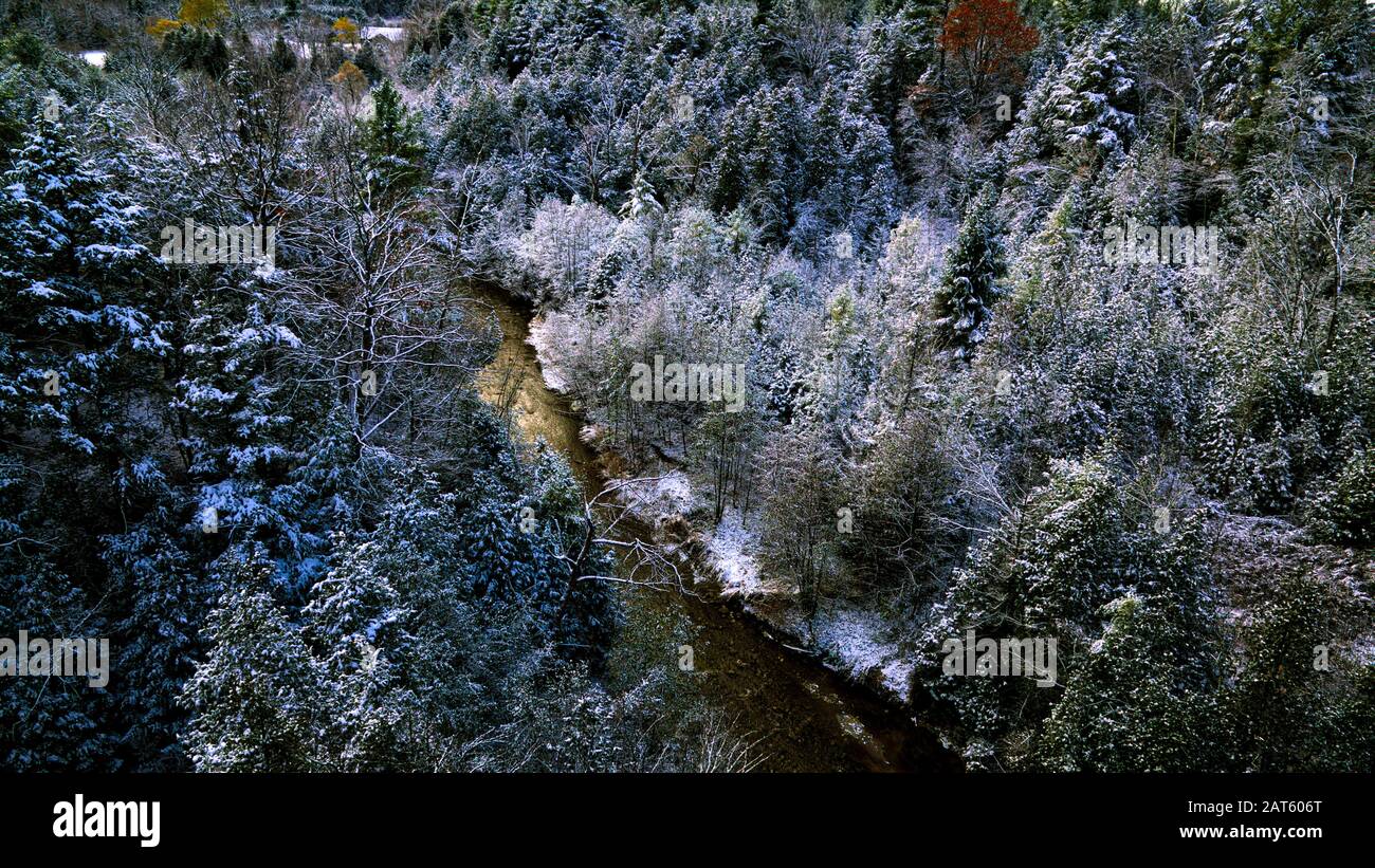 Drone view of the winter forest and curving river Stock Photo