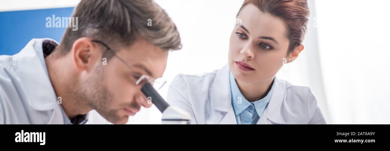 panoramic shot of molecular nutritionist looking at his colleague with microscope Stock Photo