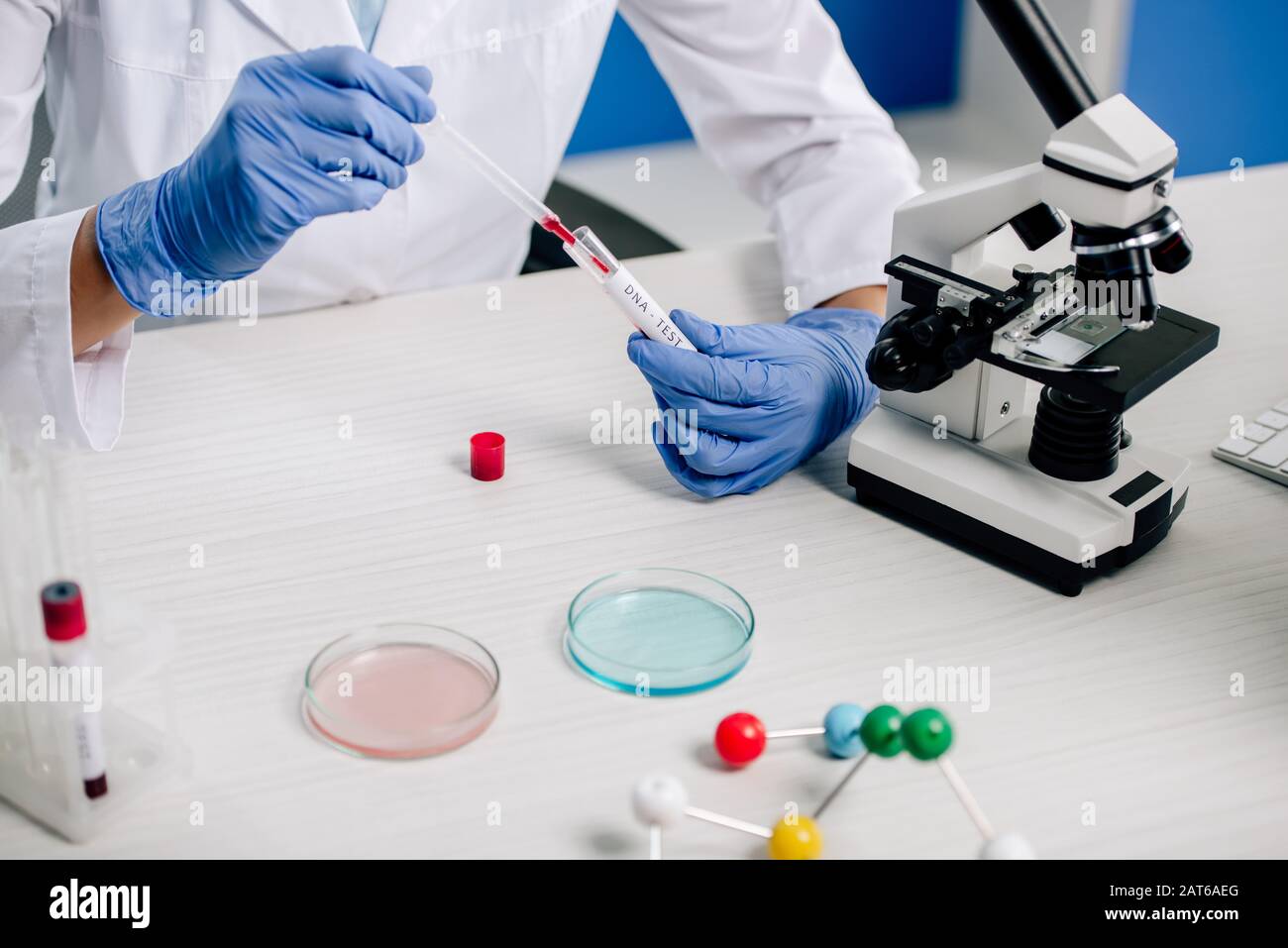 cropped view of genetic consultant doing dna test in lab Stock Photo