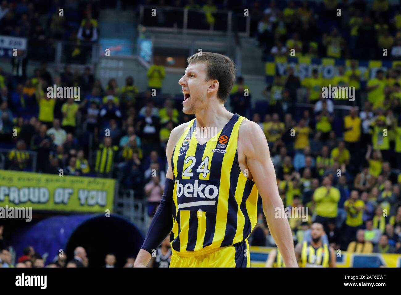 ISTANBUL / TURKEY - JANUARY 14, 2020: Jan Vesely during EuroLeague 2019-20  Round 19 basketball game between Fenerbahce and LDLC Asvel at Ulker Sports  Arena Stock Photo - Alamy