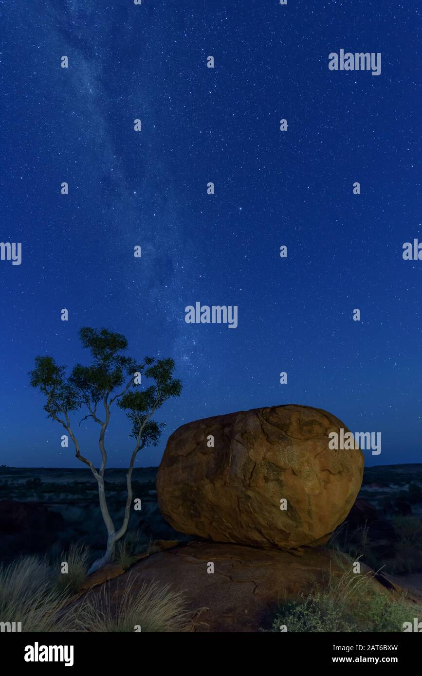 Light painting the devil's marble and a desert gum with milky way core in the background. Stock Photo