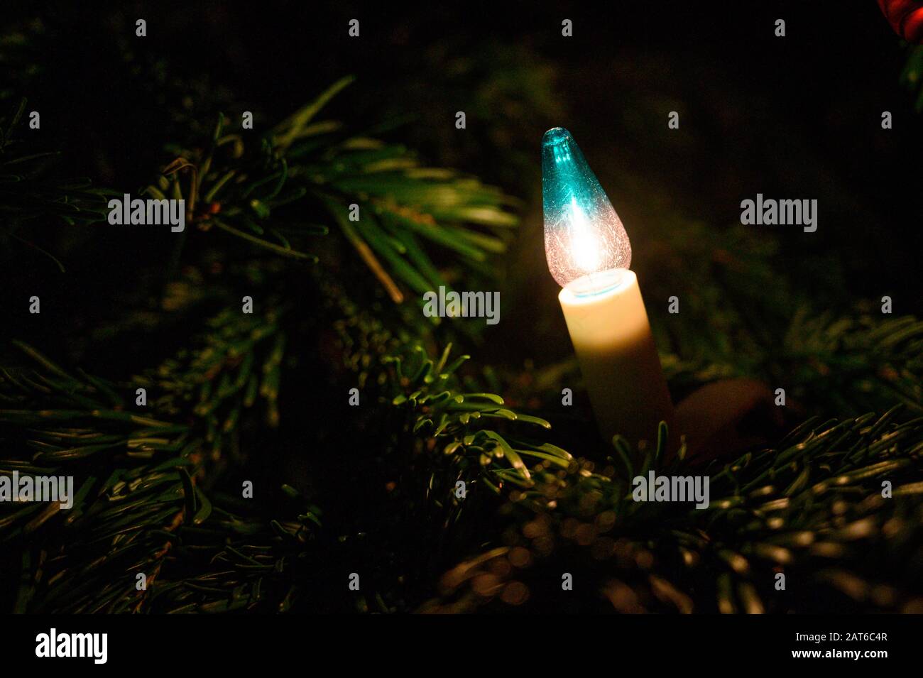 a light bulb on a Christmas tree Stock Photo