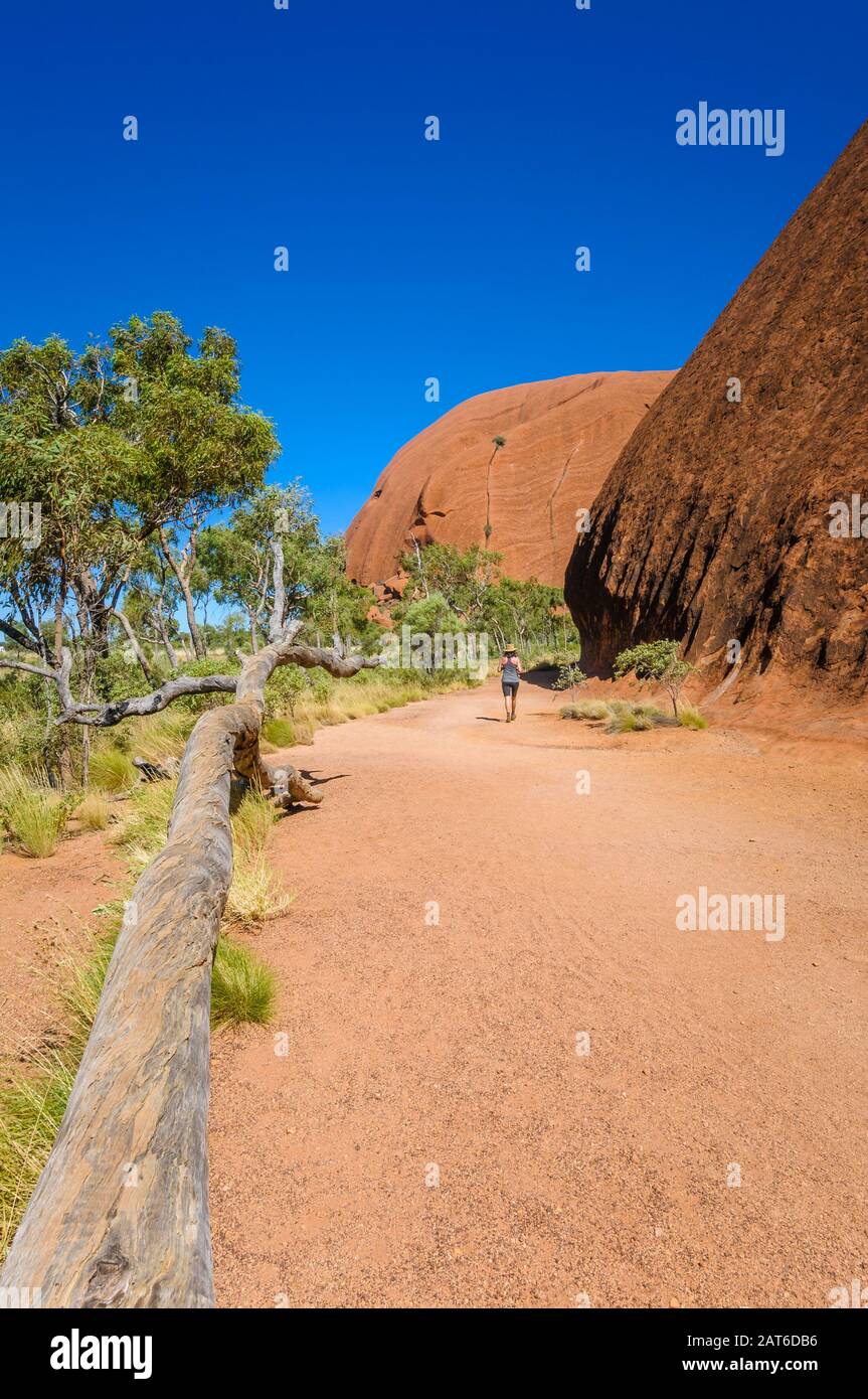 Bushwalker follows the track around Uluru(Ayres Rock) in Central Australia. Stock Photo
