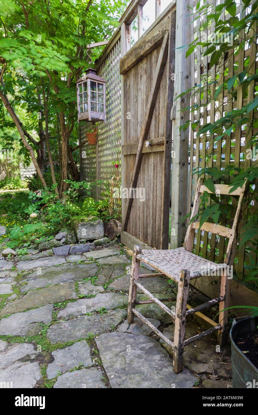 Old wooden chair with woven seat and climbing Vitis - Vines on wooden lattice frame in the backyard of an old 1862 cottage style home Stock Photo