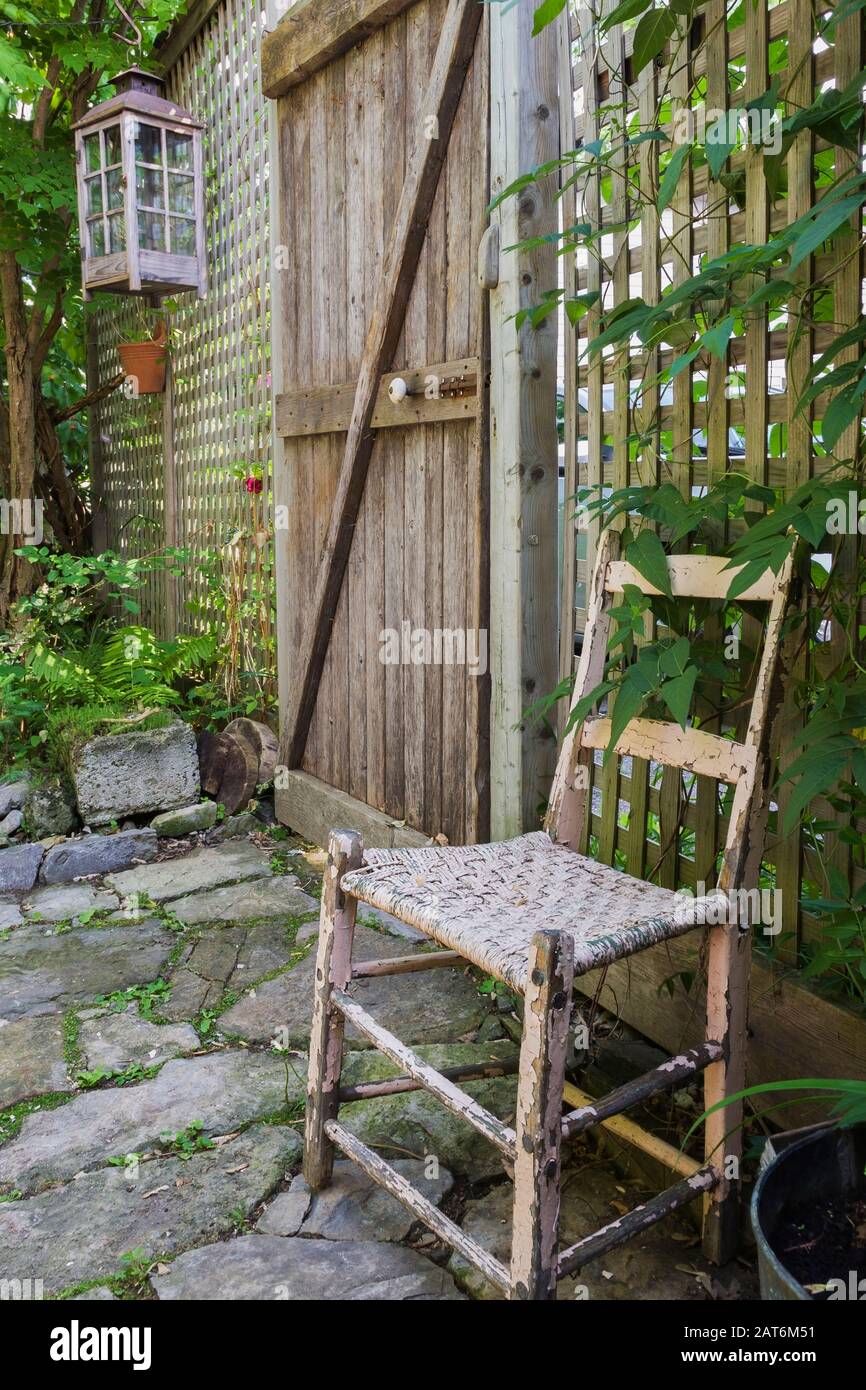 Old wooden chair with woven seat and climbing Vitis - Vines on lattice frame in the backyard of an old 1862 cottage style home Stock Photo