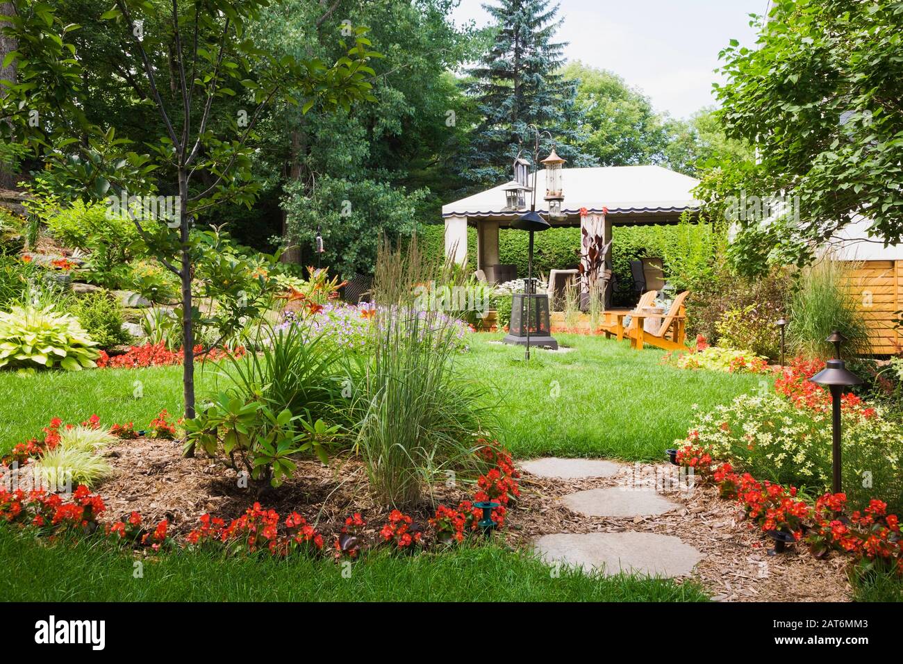 Grey flagstone footpath through mulch borders planted with Miscanthus - Ornamental grass plants, red Begonia flowers and gazebo in backyard garden Stock Photo