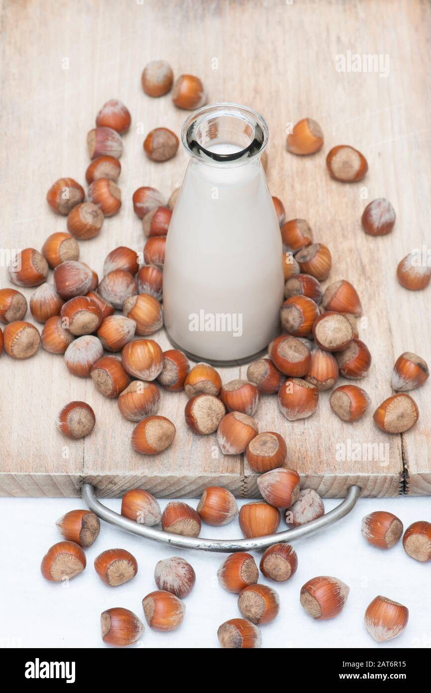 Vegan plant based milk alternatives. Hazelnut milk with hazelnuts on a wooden board Stock Photo