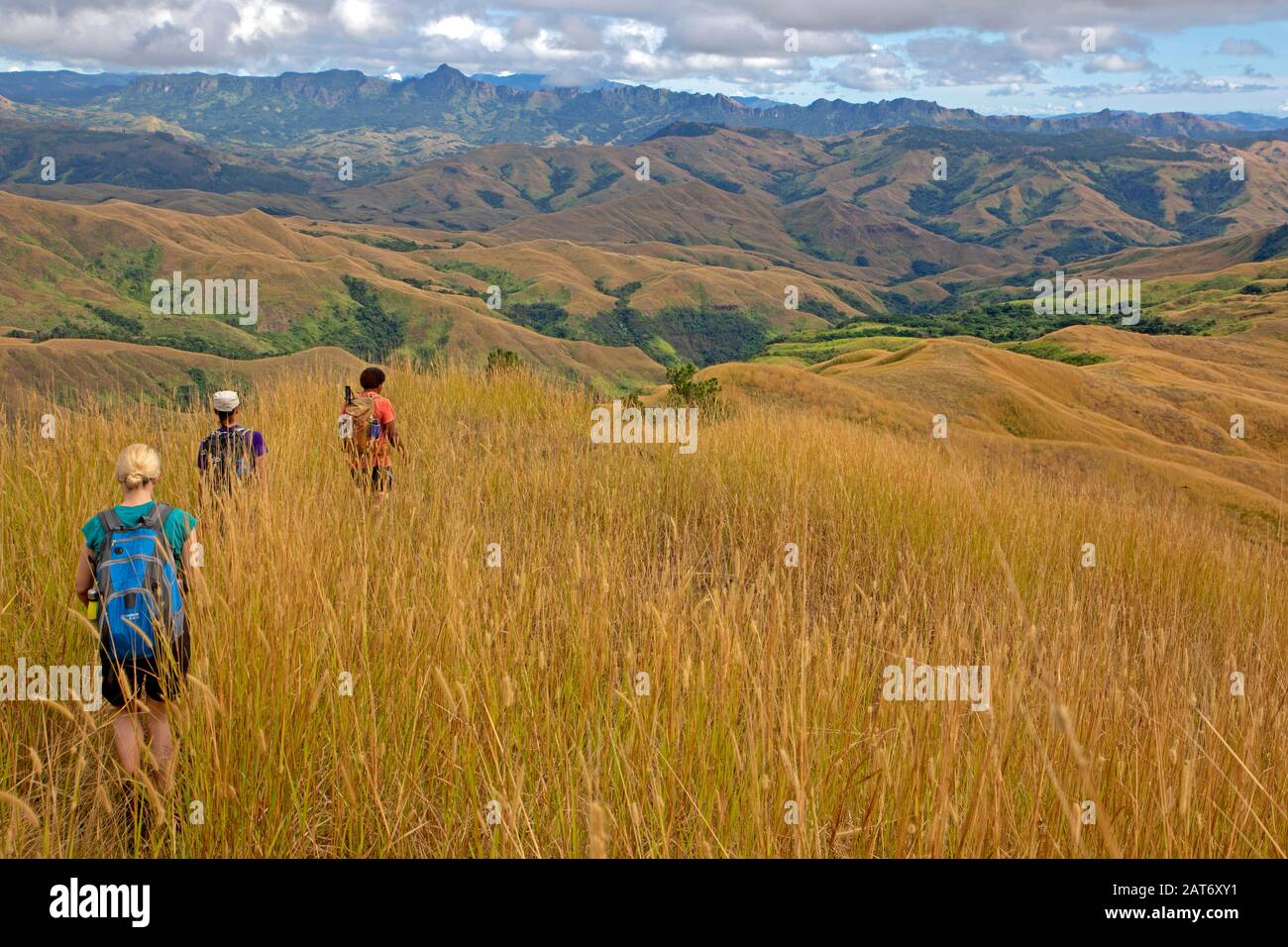 Hiking through tall grassland in the highlands of Viti Levu Stock Photo