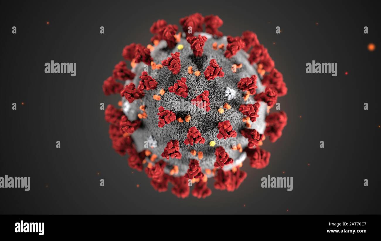 This illustration, created at the Centers for Disease Control and Prevention (CDC), reveals ultrastructural morphology exhibited by the 2019 Novel Coronavirus (COVID-19). Note the spikes that adorn the outer surface of the virus, which impart the look of a corona surrounding the virion, when viewed electron microscopically. In this view, the protein particles E, S, M, and HE, also located on the outer surface of the particle, have all been labeled as well. This virus was identified as the cause of an outbreak of respiratory illness first detected in Wuhan, China. Stock Photo