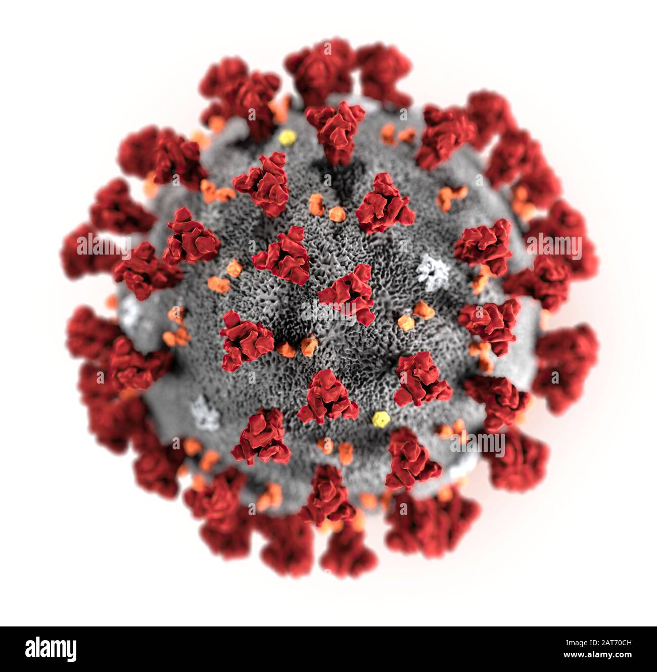 This illustration, created at the Centers for Disease Control and Prevention (CDC), reveals ultrastructural morphology exhibited by the 2019 Novel Coronavirus (COVID-19). Note the spikes that adorn the outer surface of the virus, which impart the look of a corona surrounding the virion, when viewed electron microscopically. In this view, the protein particles E, S, M, and HE, also located on the outer surface of the particle, have all been labeled as well. This virus was identified as the cause of an outbreak of respiratory illness first detected in Wuhan, China. Stock Photo