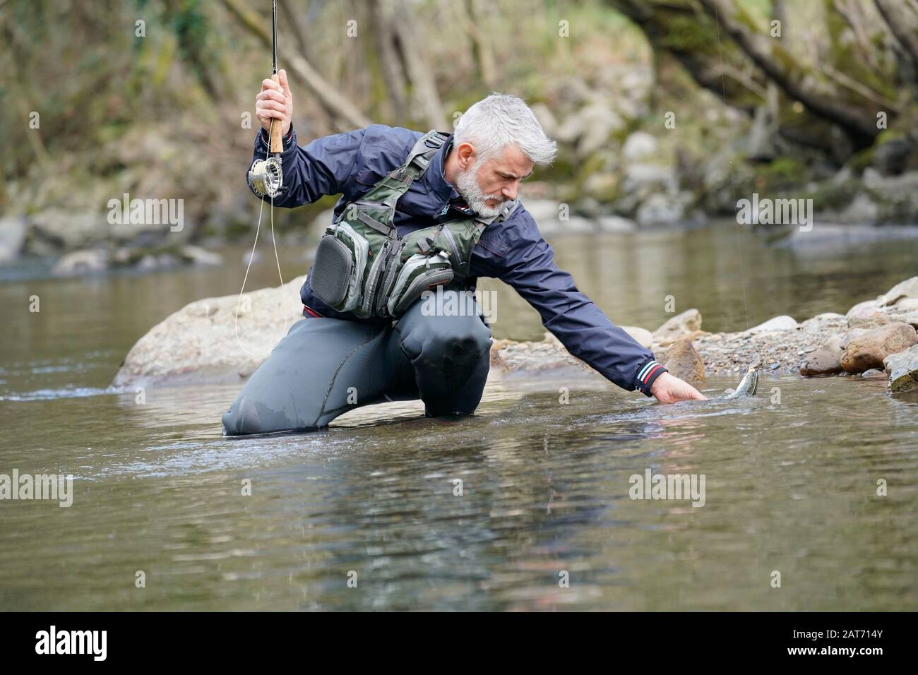 catch of a rainbow trout by a fly fisherman in the river Stock Photo