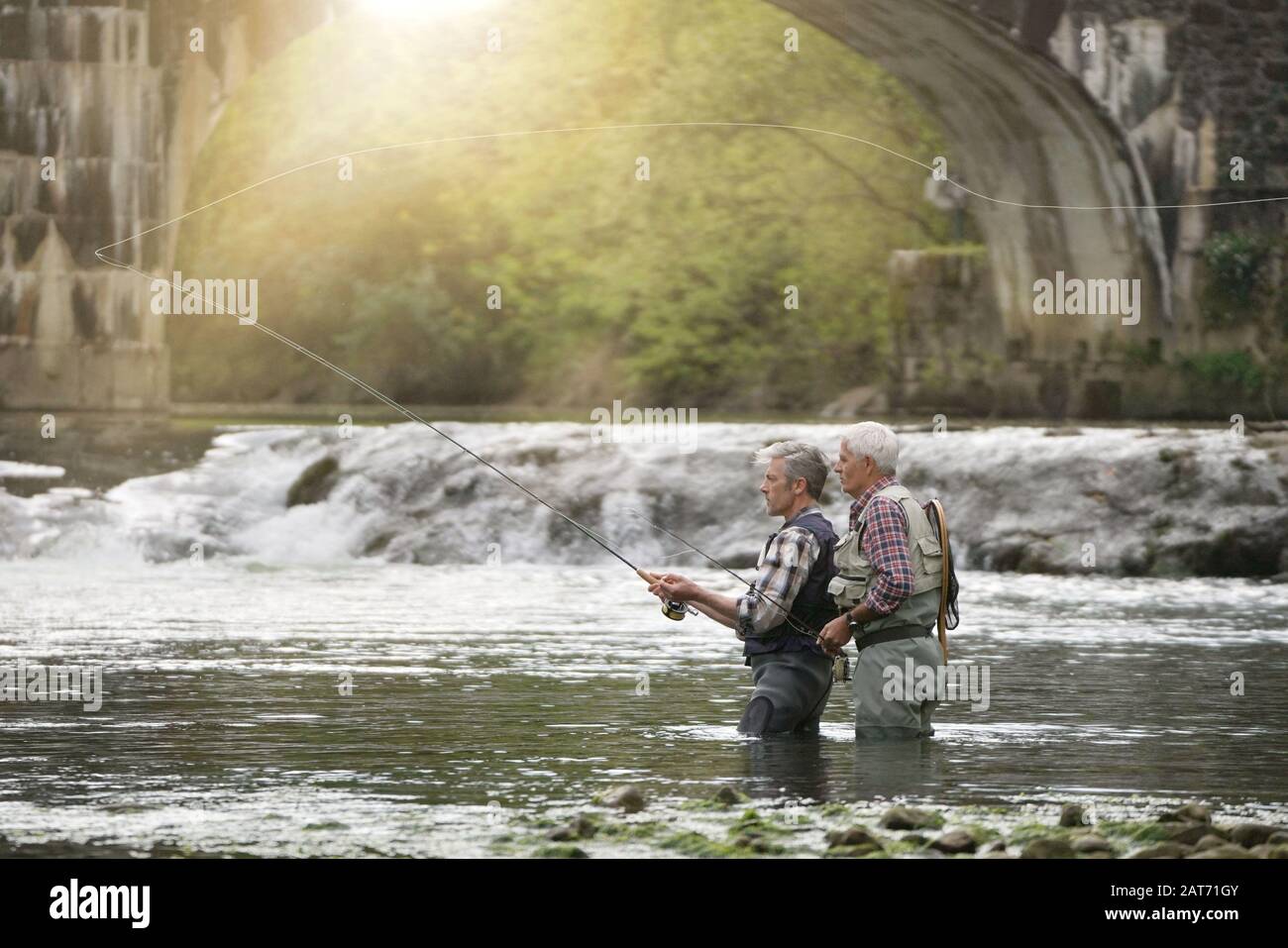 Novice and expert hires stock photography and images Alamy