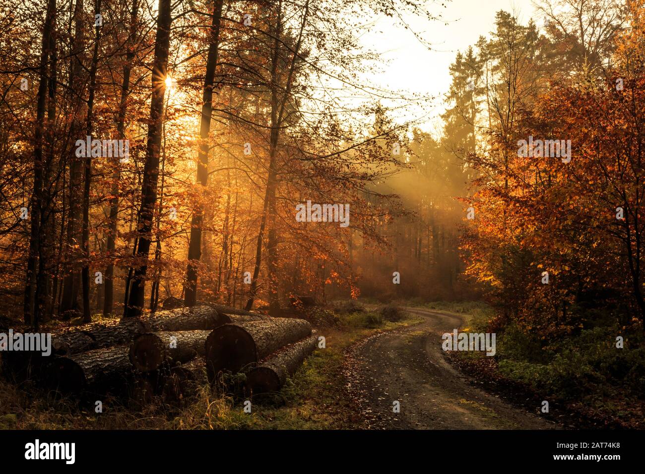 Morgendliche Sonnenstrahlen im herbstlichen Süntel Stock Photo