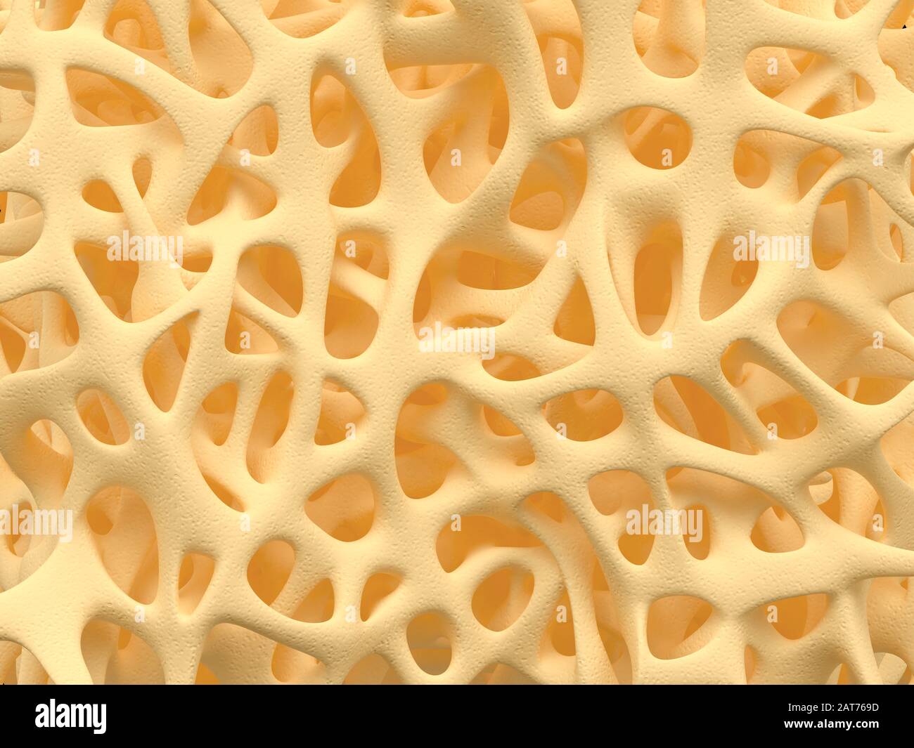 Bone spongy structure close-up, healthy texture of bone Stock Photo