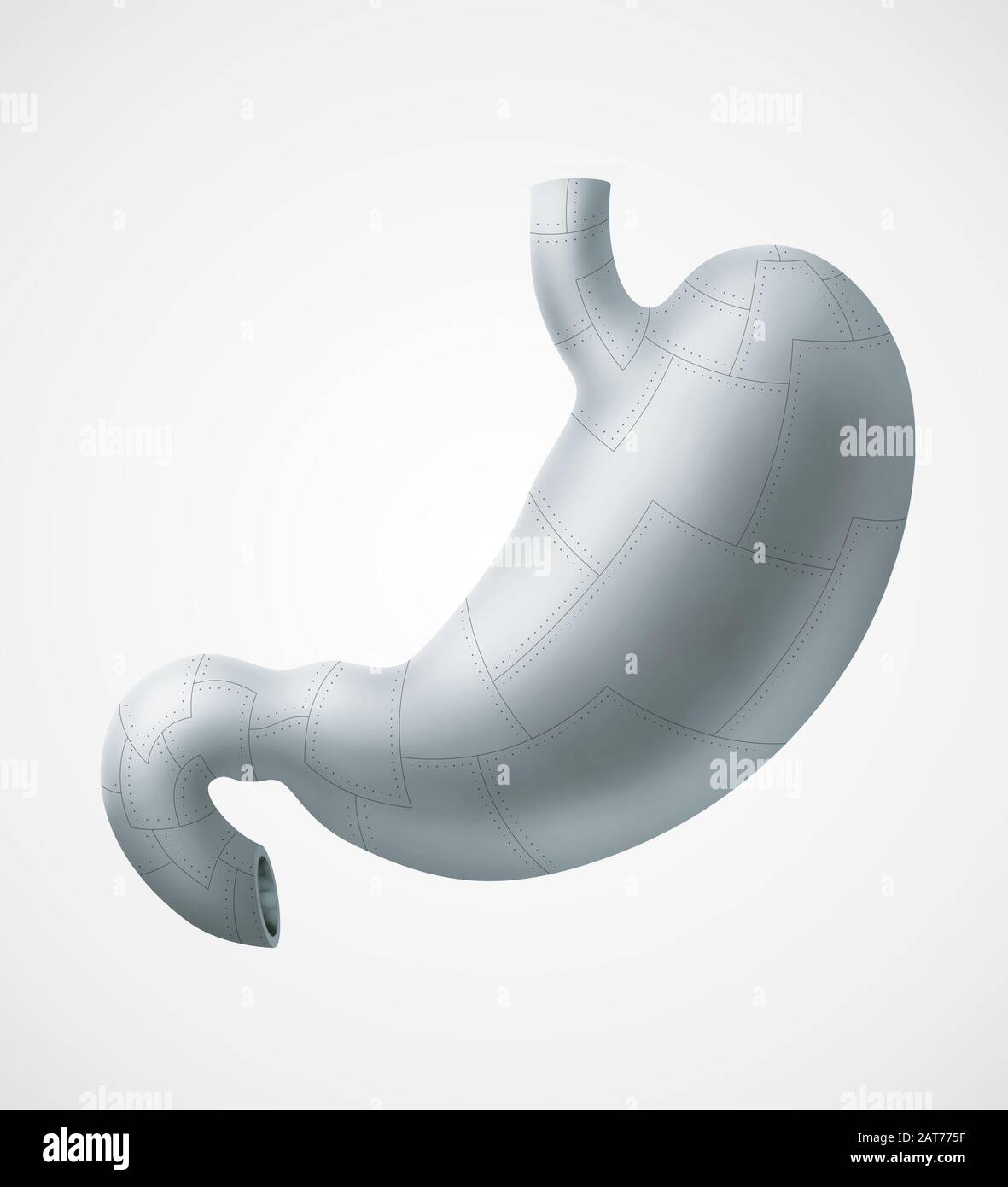 Illustration of human stomach made of metal panels Stock Photo Alamy