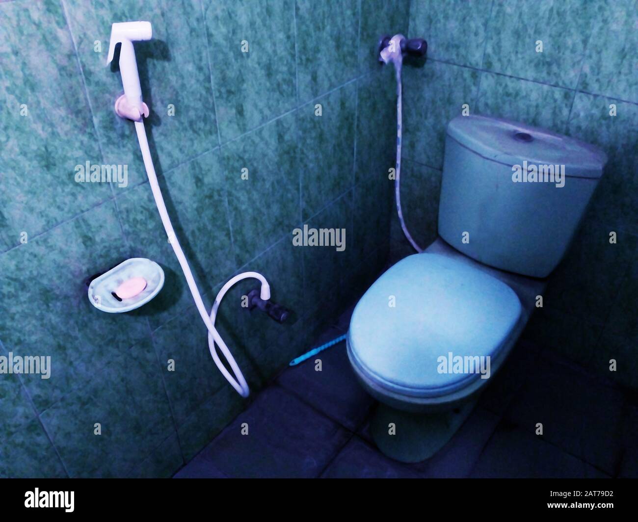 Toilet Commode.Western Commode Toilet Eddy Dual Flush Water Saving