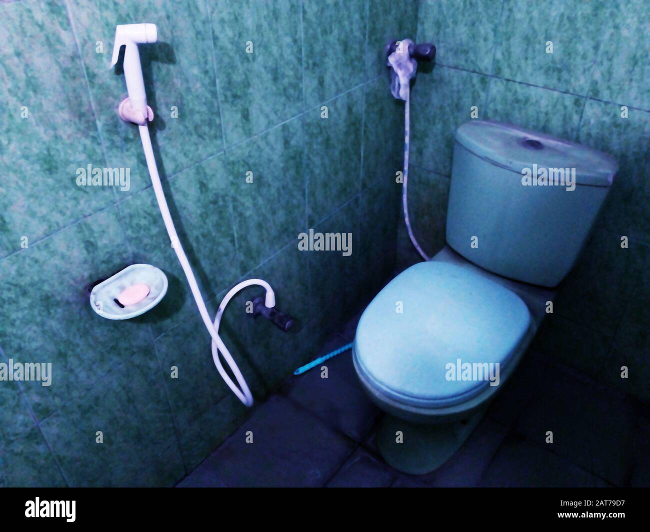 Western commode 2024