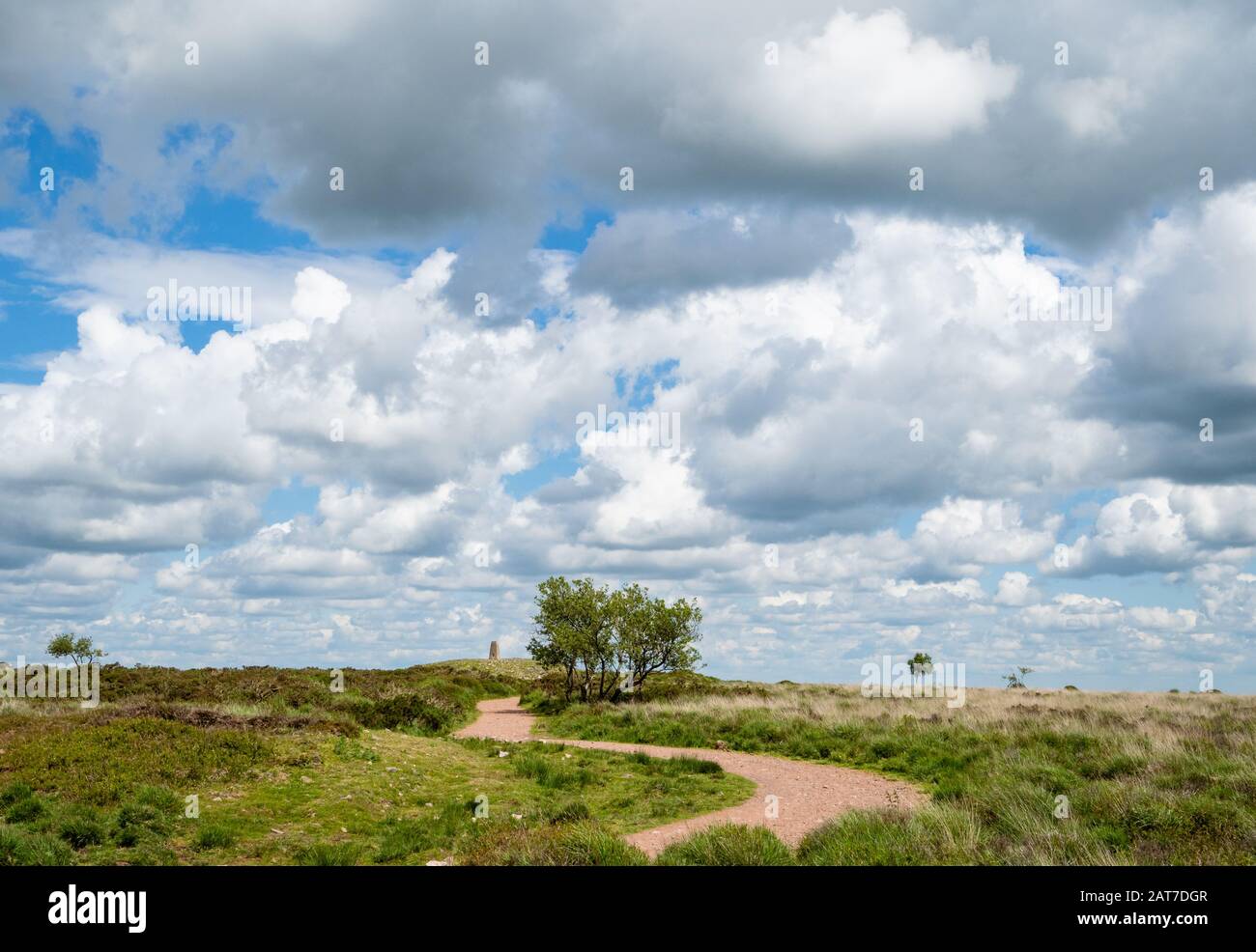 The rounded summit and trig point of Beacon Batch on Black Down the highest point of the Mendip Hills Somerset UK Stock Photo