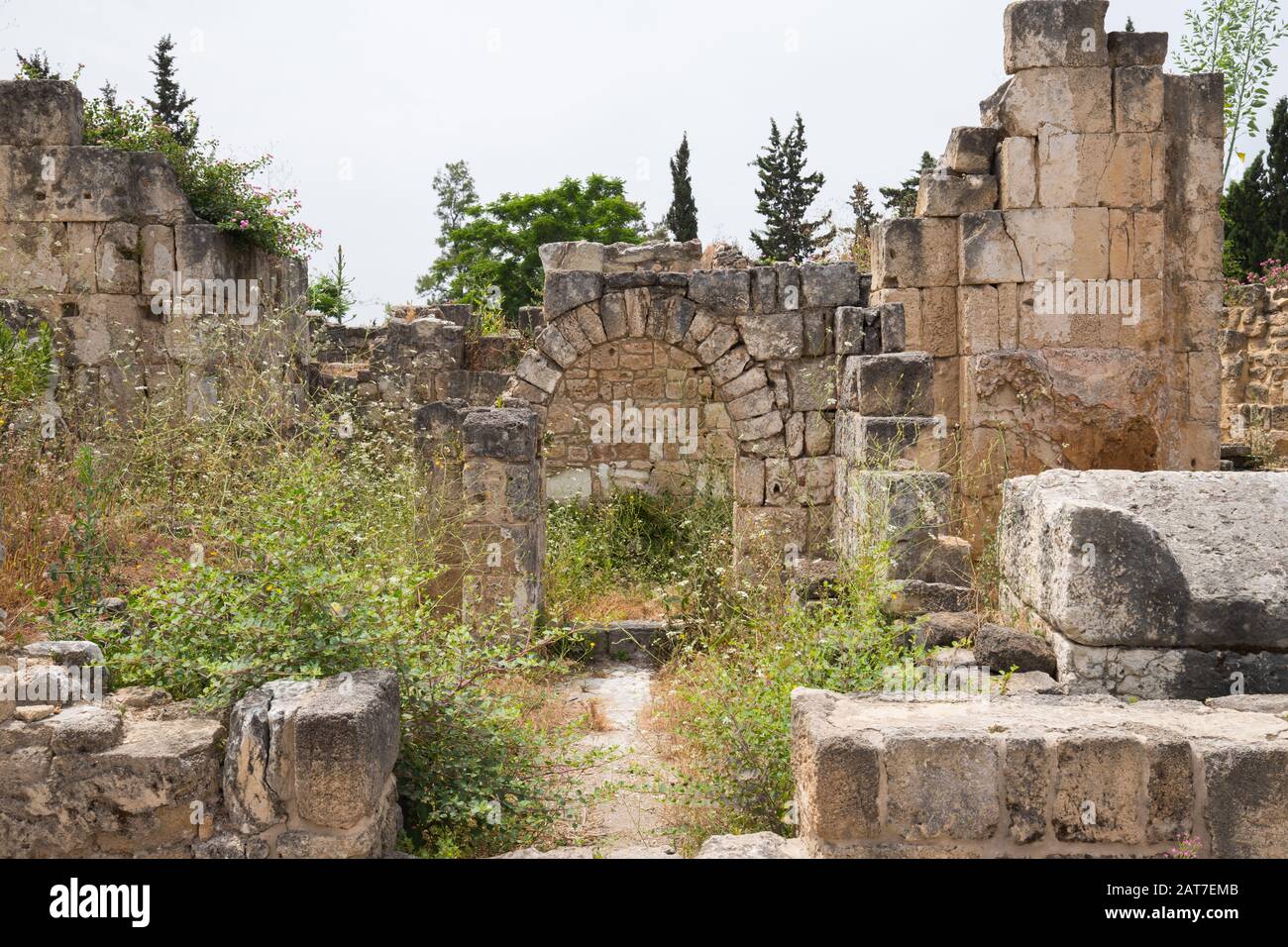 Al-Bass Tyre necropolis. Roman remains in Tyre. Tyre is an ancient Phoenician city. Tyre, Lebanon - June, 2019 Stock Photo