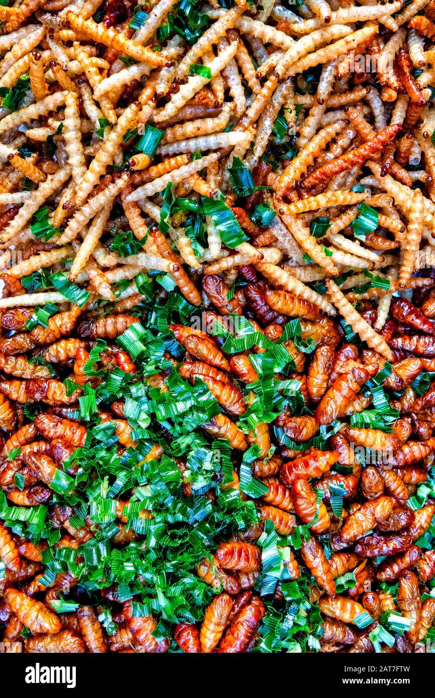Thai fried caterpillars and silkworms Stock Photo